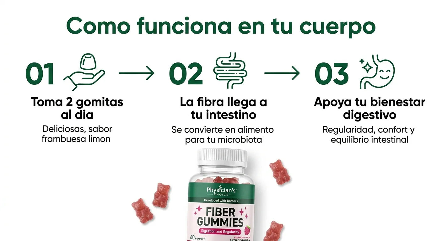 C�mo funciona la fibra prebi�tica